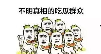 娱乐领域吃瓜群众,吃瓜群众揭秘幕后真相